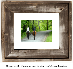 horse trail rides near me in Newton, Massachusetts